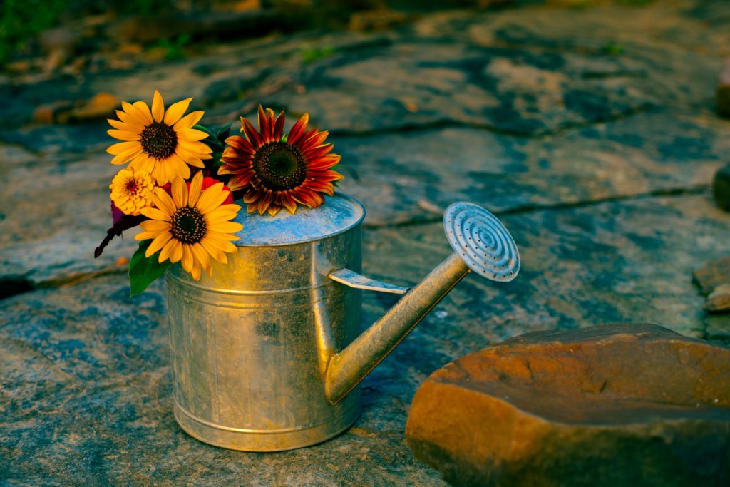 Photo by Jeremy Morris on Unsplash image of watering can and flowers